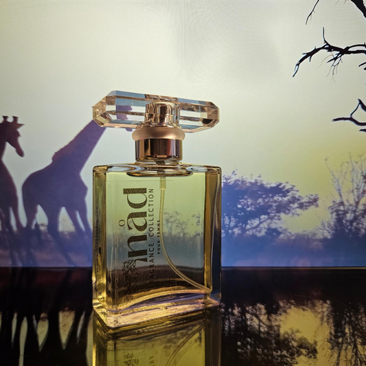 Midnight Safari-Inspired by Yves Saint Laurent Black Opium