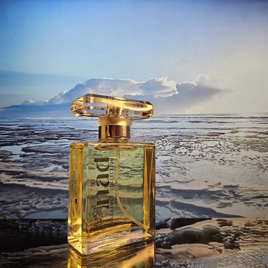 Incense- Inspired by Narciso Rodriguez for Her