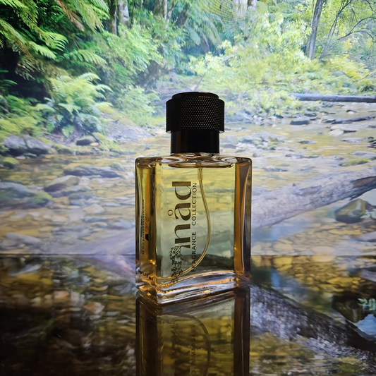 Dark Forest- Inspired by Hugo Boss Dark Blue