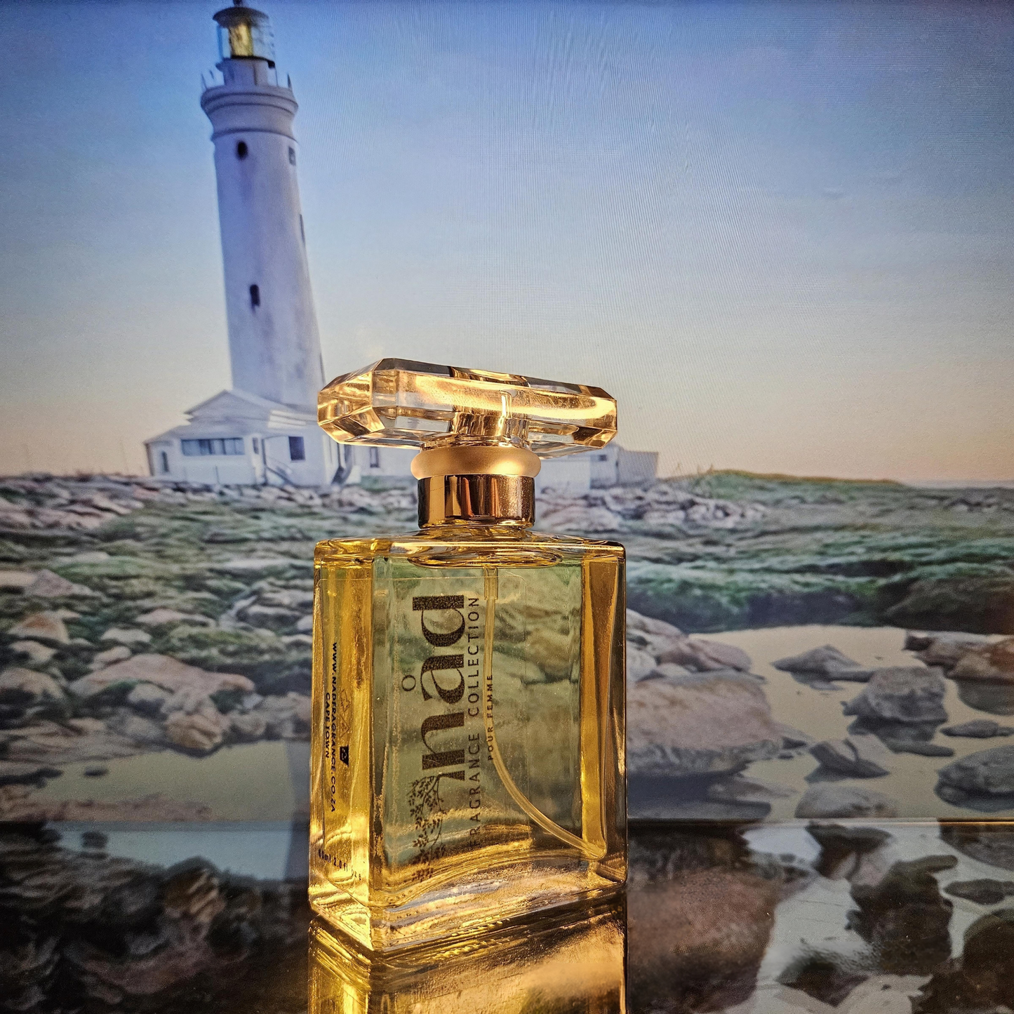 St. Francis- Inspired by Paco Rabanne Fame