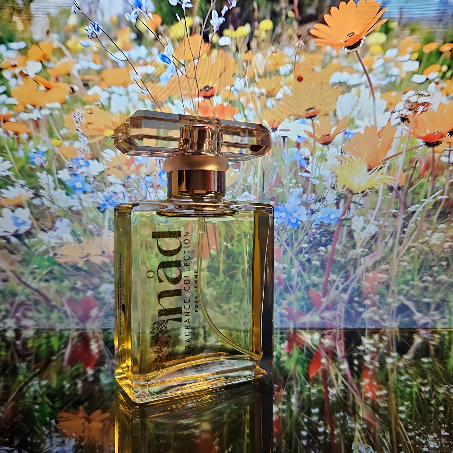 Namaqua's Bloom-Inspired by Beyonce Heat