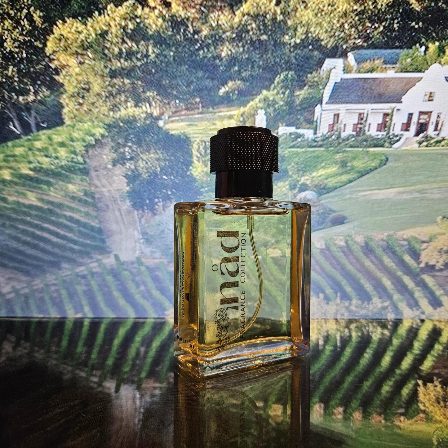 Unity- Inspired by Calvin Klein CK One