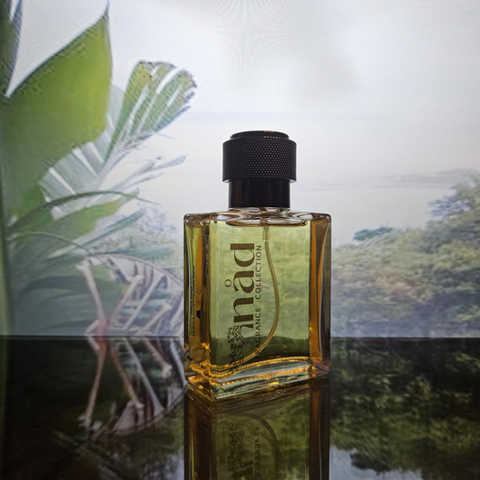 Attraction- Inspired by Versace Eros