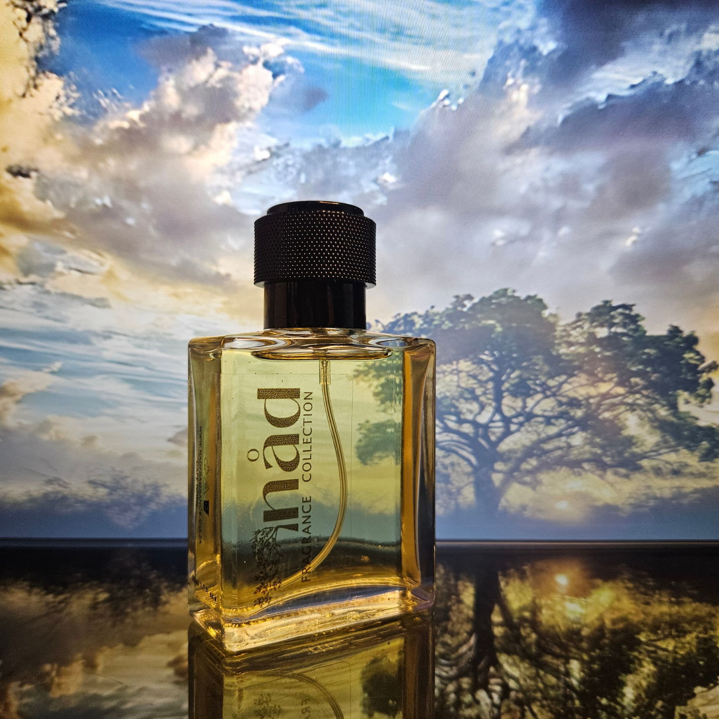 Safari Bliss- Inspired by Paco Rabanne 1 Million