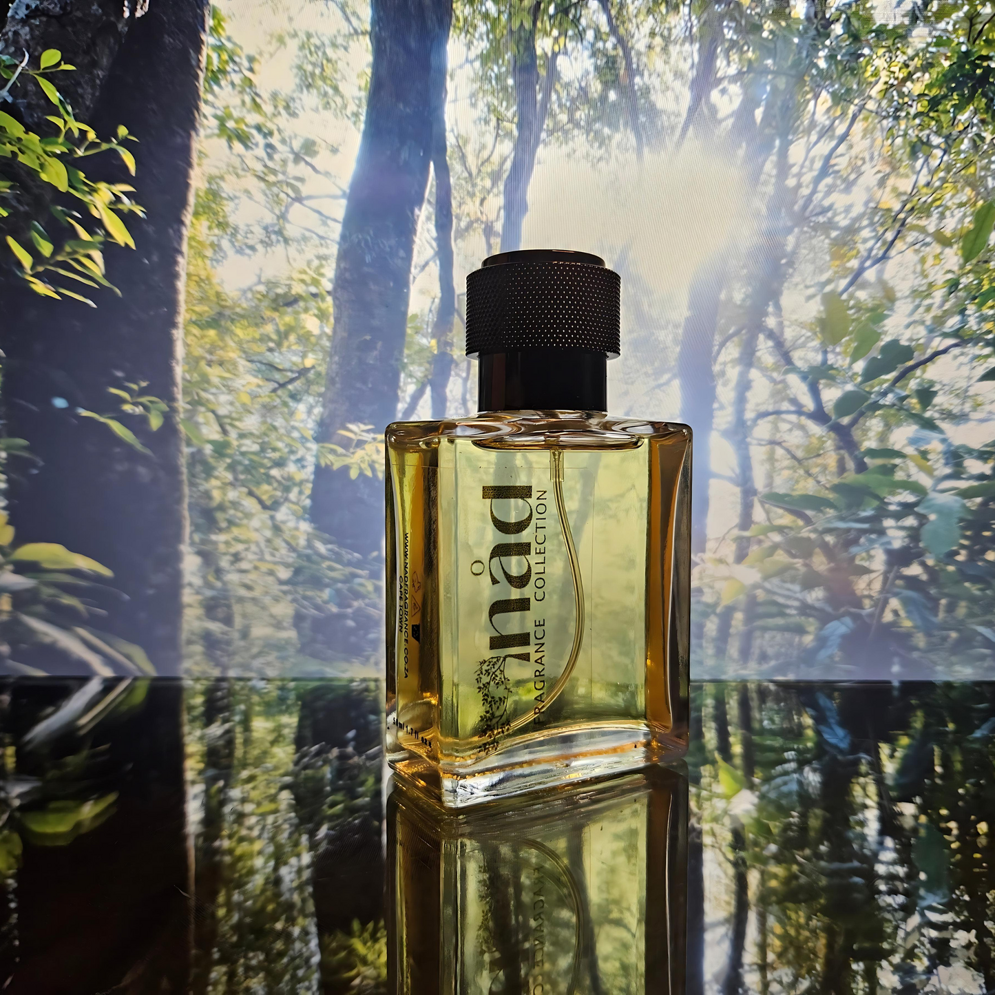 Forest Trail- Inspired by Paco Rabanne Invictus