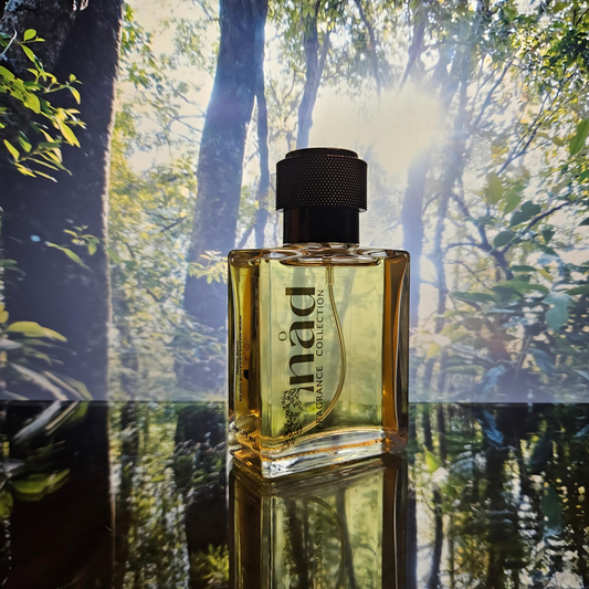 Forest Trail- Inspired by Paco Rabanne Invictus
