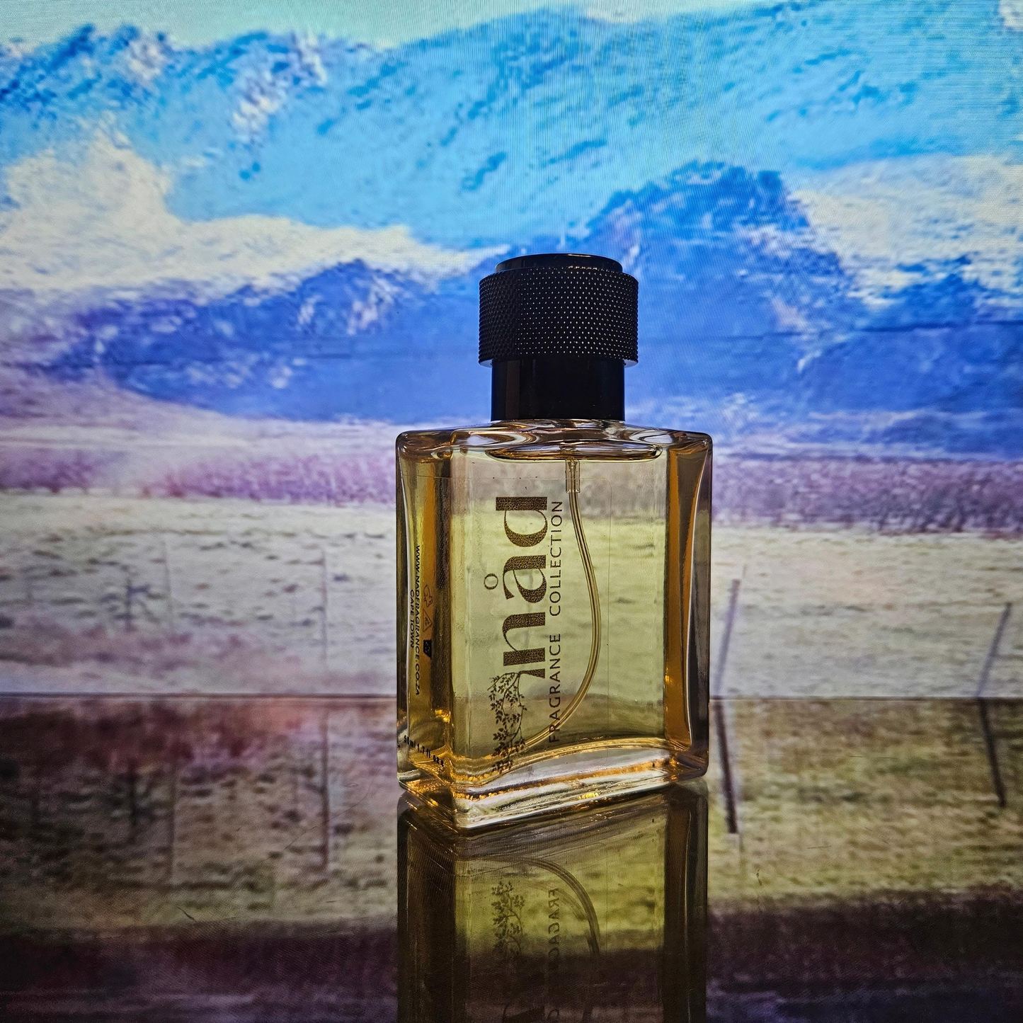 Citrus Grove-Inspired by Hugo Boss Orange