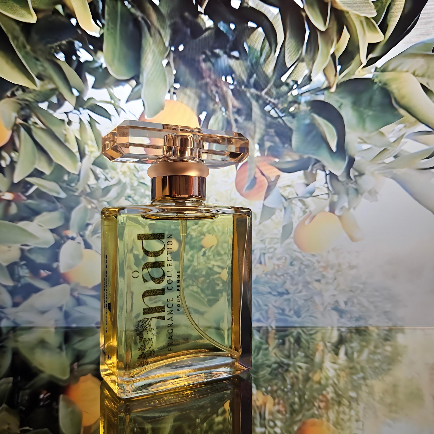 Sunset Serenade-Inspired by Rock in Rio