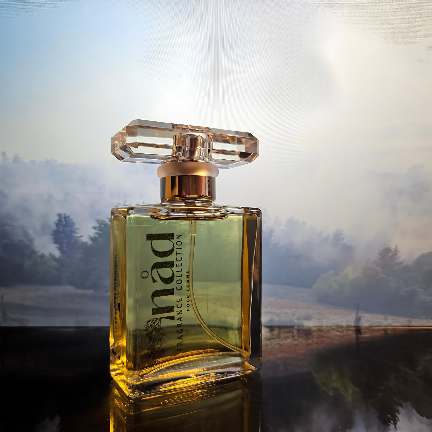 Wonderland- Inspired by Britney Spears Fantasy