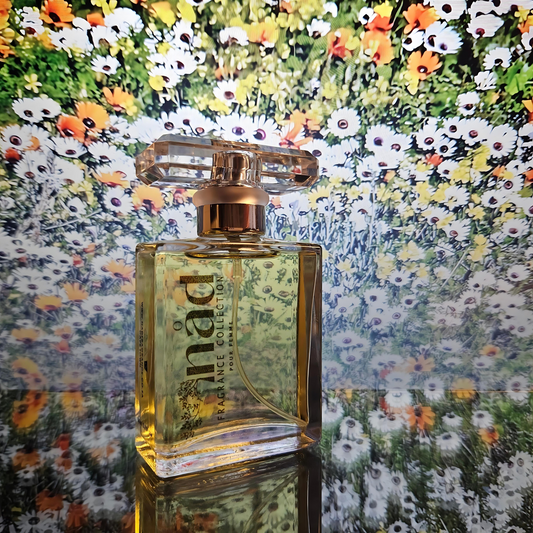 Namaqua's Dream-Inspired by Chloe Narcisse